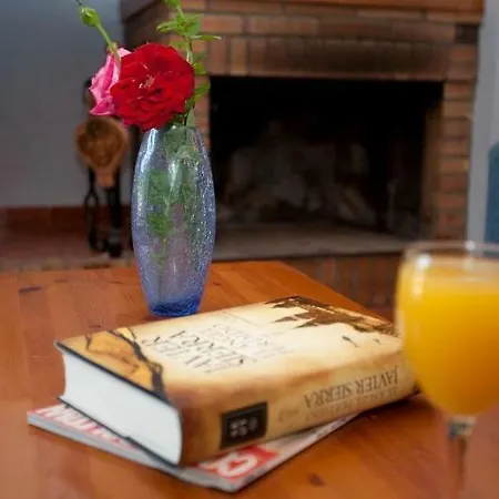 Sofia Ordesa 公寓 *