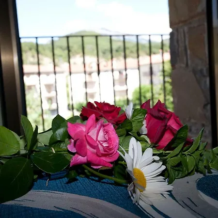 公寓 Sofia Ordesa Escalona